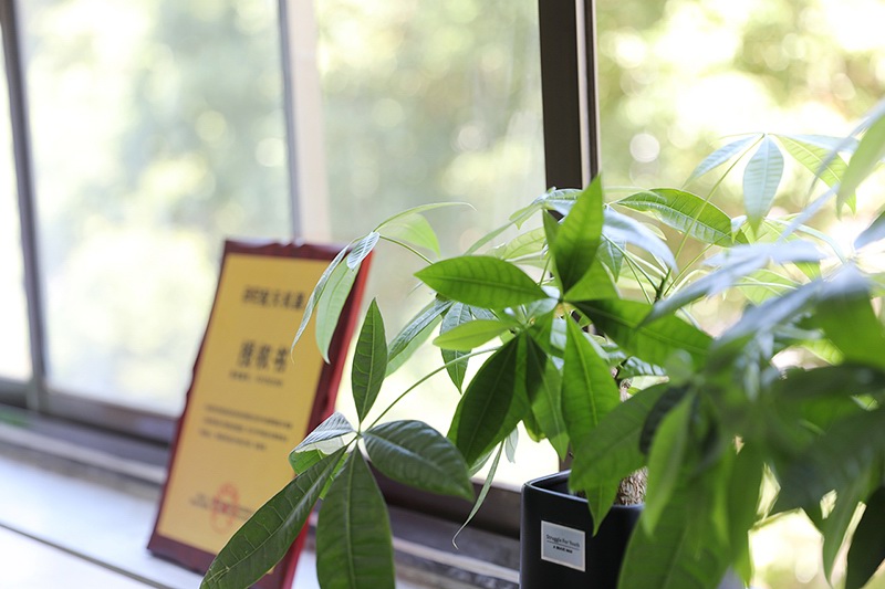 整潔明亮的辦公室-財務部-圖2